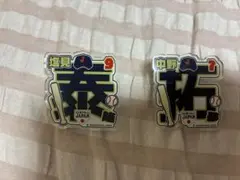 Item thumbnail for item 46acace3-8a16-41d1-95eb-49e5b8d9007d