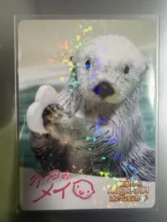 鳥羽水族館コレクションカード第2弾 メイ レア - メルカリ