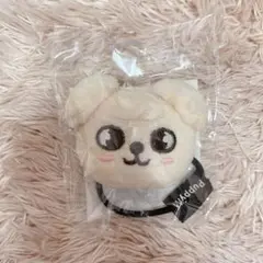 straykids トレカ PVCポーチ スンミン パピーム SKZOO straykids トレカ PVCポーチ スンミン パピーム SKZOO - メルカリ