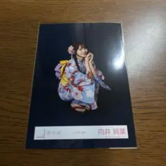 向井純葉 浴衣 2026 座り 櫻坂46 生写真 - メルカリ