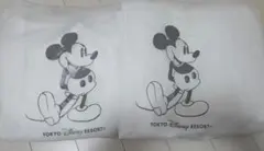 ミッキーマウス レインコート Lサイズ 2枚セット