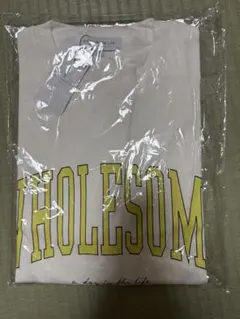 Item thumbnail for item 28895b86-443a-4564-8bce-720aace2af7a