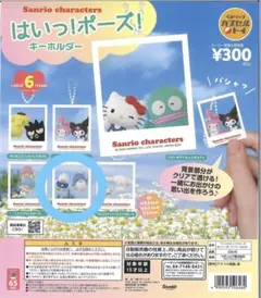 はいっ！ポーズ！キーホルダーあひるのペックル＆タキシードサム