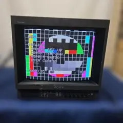 2026年最新】sony pvm 14の人気アイテム - メルカリ