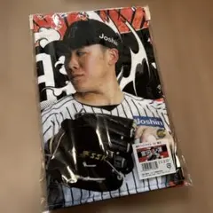 Item thumbnail for item a39ef568-c184-4b17-b906-a0c0141ec9f8