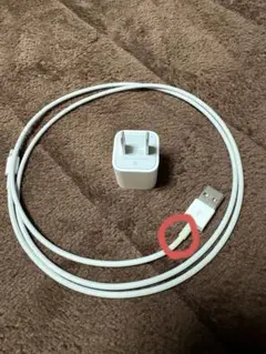 iPhone LightningケーブルとACアダプタ