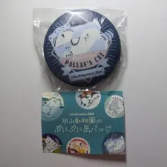 2026年最新】マヌルネコ 缶バッジの人気アイテム - メルカリ