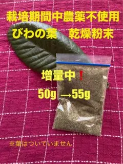 びわの葉乾燥粉末55gのサムネイル