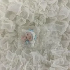 Sanrio サンリオ mikkoシナモン ラテ シークレットマスコット