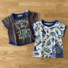 Item thumbnail for item f2c21231-2779-4608-b9a0-7c43774757c3