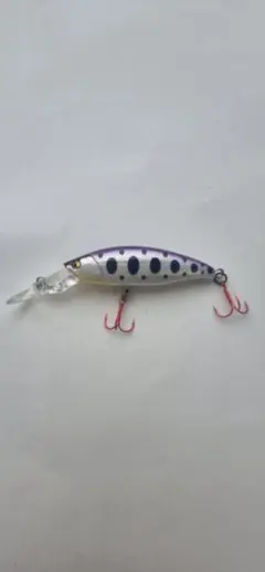 イトウクラフト　蝦夷50SDのサムネイル