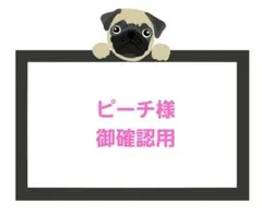 ディーラー様 にちにち様 nichinichi様 15mm SD ピンク - メルカリ