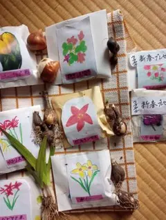 Item thumbnail for item aa2251ed-837b-43c2-8c7c-e89c39fb3c31