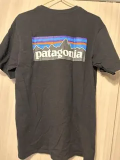 patagonia Tシャツ