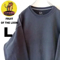 USA古着 FRUIT OF THE LOOM　スウェットL　ネイビー