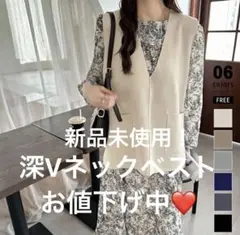 ベスト　Ｖネック