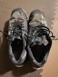 MIZUNO ウエーブライトニング Z8 バレーボールシューズ使用感少しありのサムネイル