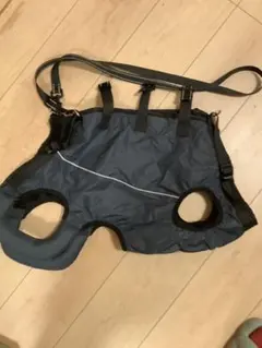 Item thumbnail for item b2ce1c76-bde7-48ce-912a-ae717b37b66e