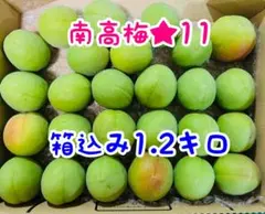 南高梅★11 箱込み1.2キロのサムネイル