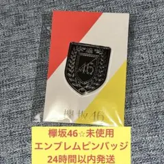 欅坂46 未使用　 ピンバッジ　エンブレム　ロゴ　缶バッジ　櫻坂46 ①