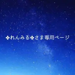 ✤れんみる✤プロフ・説明文確認!!さま専用ページ おにぎり弁当 〜焼き鮭〜