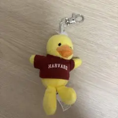 ハーバード大学 マスコット アヒル