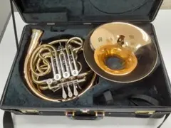 2025年最新】フルダブルホルンの人気アイテム - メルカリ