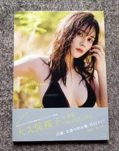 Item thumbnail for item 1ffc6ebd-b433-4f24-ada3-dd688656535f