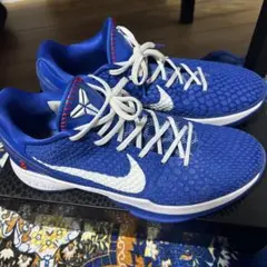 Nike Kobe 6 Protro 