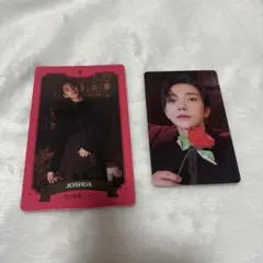 2023 シーグリ SEASON GREETINGS ジョシュア