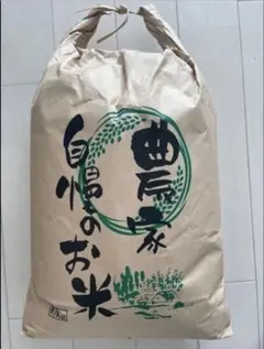 送料込み 竹原農場 新潟県産えちご三和米 令和7年産みずほの輝き 玄米
