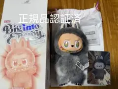 100%公式正規品ラブブ♡Bigintoenergyシークレット ID本我