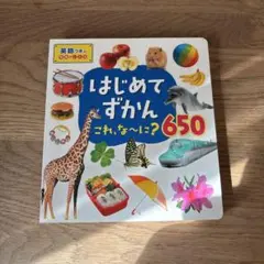はじめてずかん これ、な～に？650
