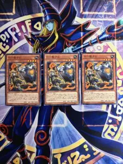 2026年最新】十二獣 遊戯王の人気アイテム - メルカリ