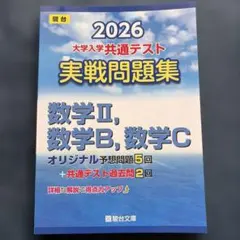 テルさん様 リクエスト 2点 まとめ商品