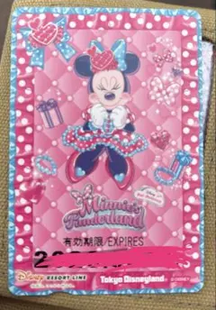 フリーきっぷ リゾートライン ミニーのファンダーランド