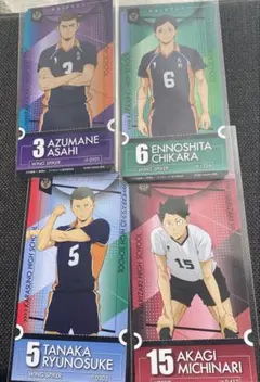 ハイキュー チケット風カードセット