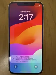 【ネコ様専用】Apple iPhone 12 Pro シルバー 本体　256GB