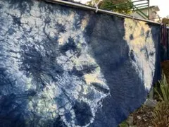 Item thumbnail for item ff4fb124-9739-4093-bf5e-e367ddeeb0d4