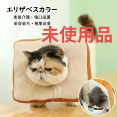 Item thumbnail for item 07c7cba9-0cdc-43ff-8744-8b2630b44221