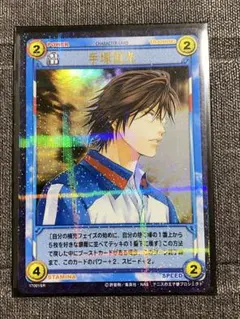 テニスの王子様 仁王雅治 プリッ TCG 9弾 レア キラ テニプリ - メルカリ