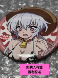 戦姫絶唱シンフォギア　雪音クリス 缶バッジ カウガール