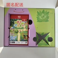 ぽこあ ポケモン Nintendo Switch2 箱付き