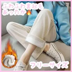 Item thumbnail for item c0073c9a-c8ad-422d-b661-48f8e89b97a1