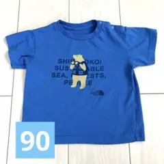 ノースフェイス 90