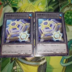氷結界トークン ノーマル 2枚セット 遊戯王