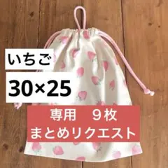 ルッツ様 リクエスト 9点 まとめ商品　給食袋　お着替え袋　巾着袋男の子女の子