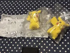 ポケモン　フロッキードール　ピカチュウ