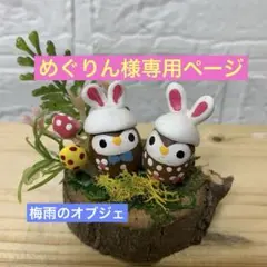 どんぐりアート♡☂️梅雨のオブジェ♡