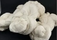 Item thumbnail for item ad28e476-e7d8-4456-a73d-1d25a2126818